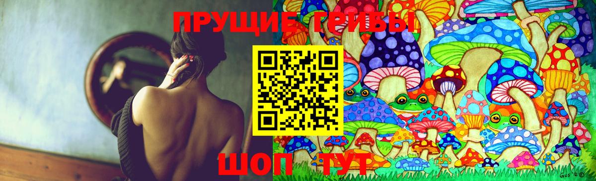 Псилоцибиновые грибы мухоморы  Псилоцибиновые грибы Psilocybine cubensis  Вход с VPN  Ангарск 